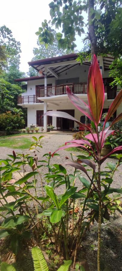 Appartement Breath House Hiriketiya à Dikwella Extérieur photo